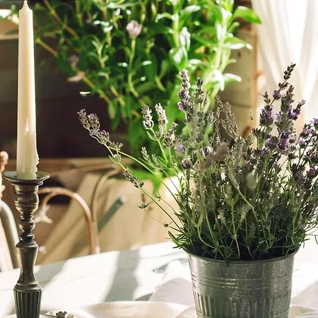 House Aenemona For 6 Guests In بيت للعطل